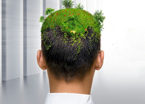 截圖14197.jpg 截圖14197.jpg