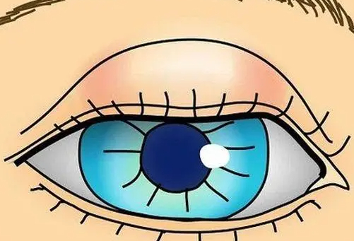 48.png 48.png