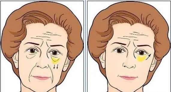 src=http%3A%2F%2Fi0.hdslb.com%2Fbfs%2Farticle%2Fbd3c861358386768a6e06c76158e49fa27f698bb.jpg&ref src=http%3A%2F%2Fi0.hdslb.com%2Fbfs%2Farticle%2Fbd3c861358386768a6e06c76158e49fa27f698bb.jpg&ref