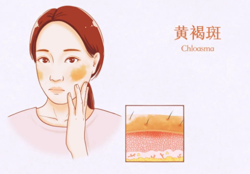 成都美熹醫(yī)療美容_微信截圖_20230315175755.png
