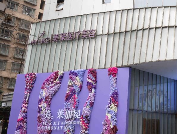 上海美萊醫(yī)療美容.jpg