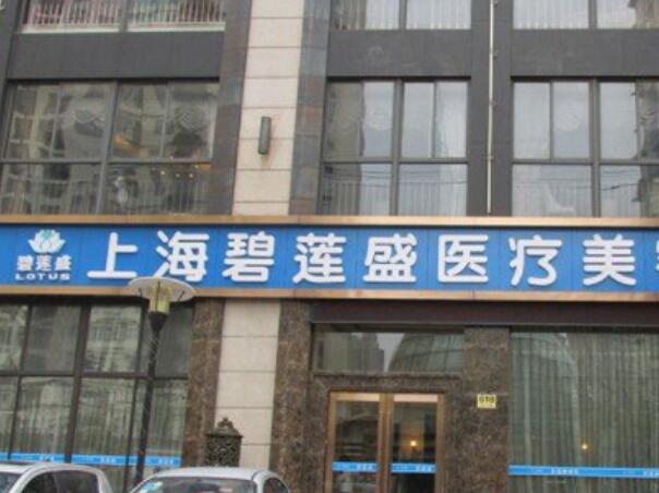 上海碧蓮盛1.jpg