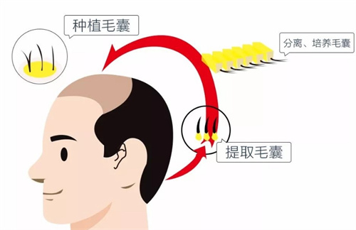 微信截圖_20231114001814.jpg