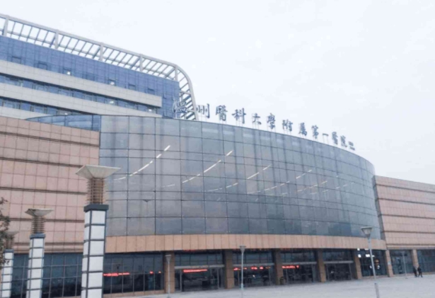 溫州醫(yī)科大學(xué)附屬第一醫(yī)院.png 溫州醫(yī)科大學(xué)附屬第一醫(yī)院.png